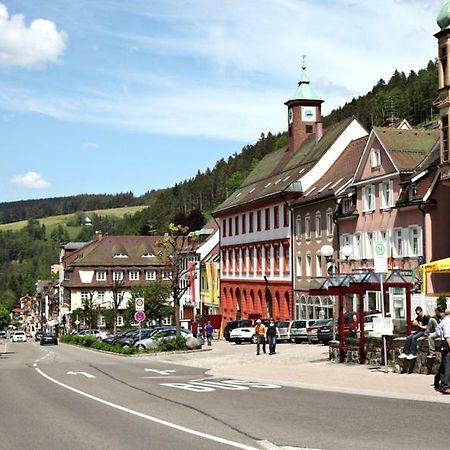 H-Apartment 1 Triberg im Schwarzwald Dış mekan fotoğraf