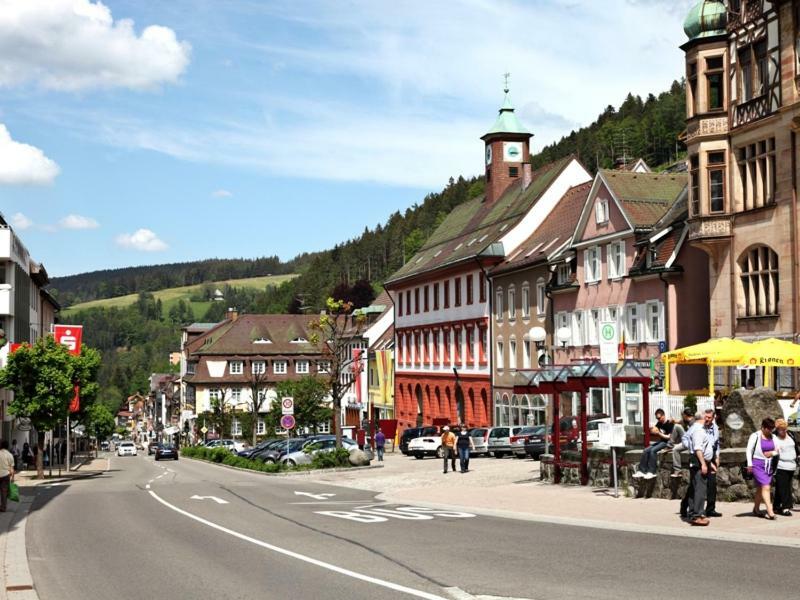 H-Apartment 1 Triberg im Schwarzwald Dış mekan fotoğraf